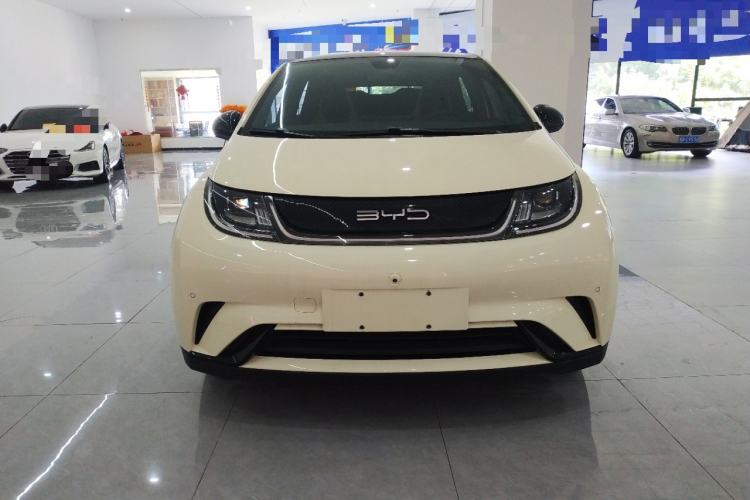 Used BYD Dolphin 2023 420 km Fashion Edition Front