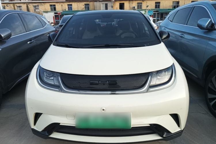 Used BYD Dolphin 2023 420 km Fashion Edition Front