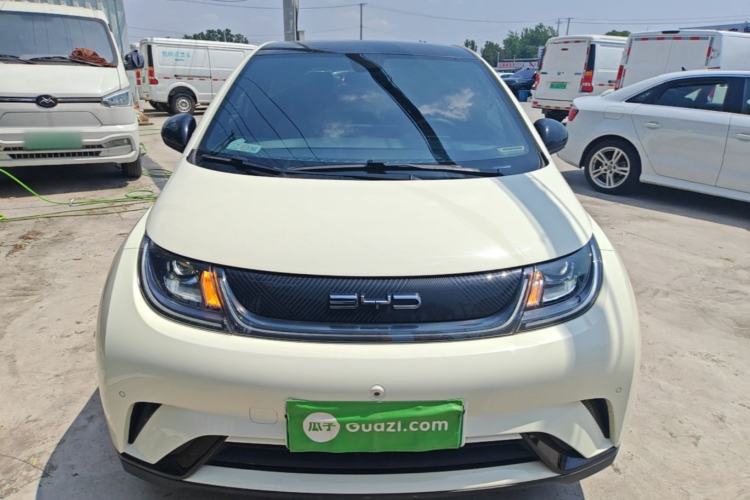 Used BYD Dolphin 2023 420 km Fashion Edition Front
