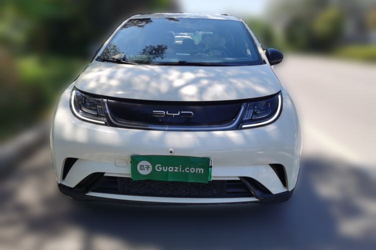 Used BYD Dolphin 2023 420 km Free Version Front