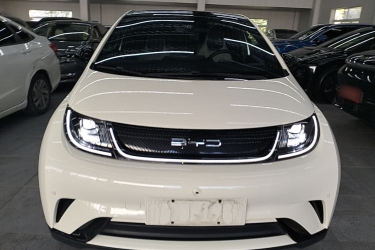 Used BYD Dolphin 2023 420 km Free Version Front