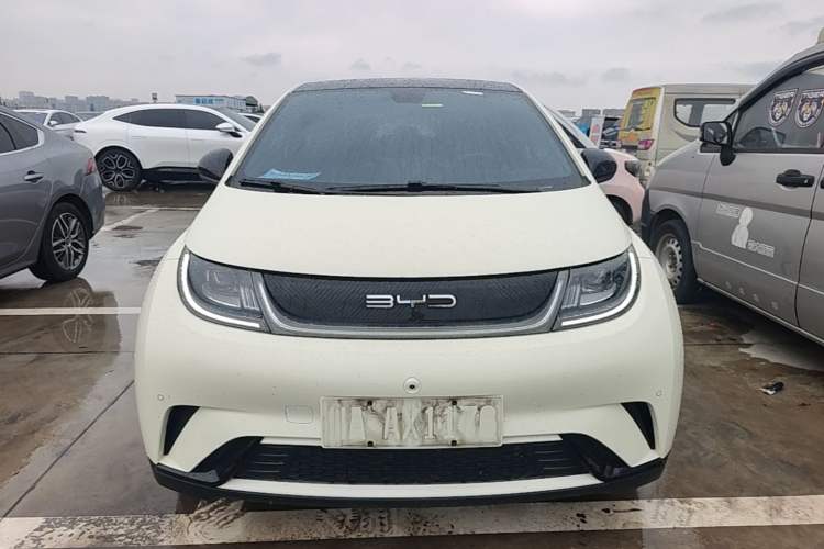 Used BYD Dolphin 2023 420 km Fashion Edition Front