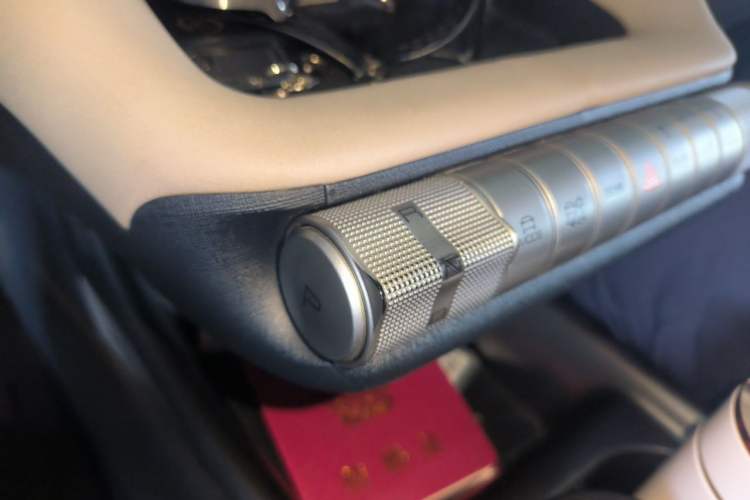 Used BYD Dolphin 2023 420 km Free Version Gear Lever