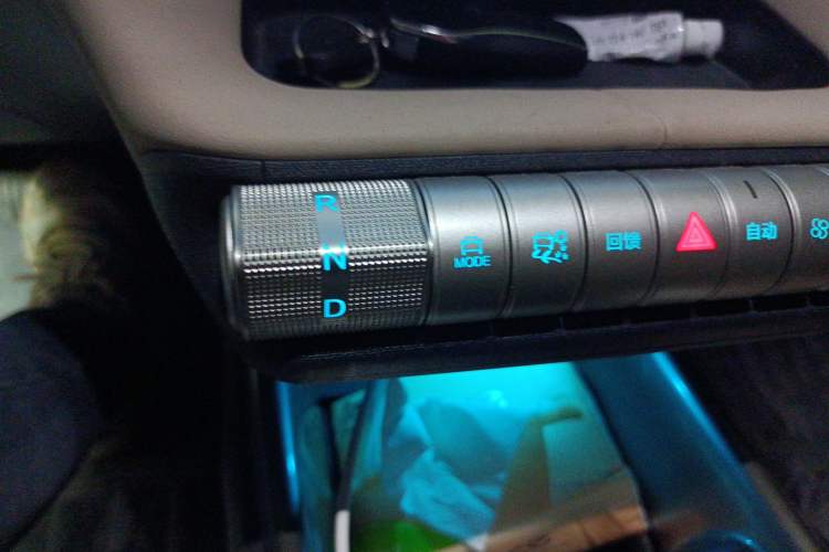 Used BYD Dolphin 2023 420 km Free Version Gear Lever