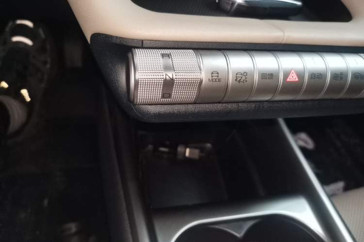 Used BYD Dolphin 2023 420 km Free Version Gear Lever