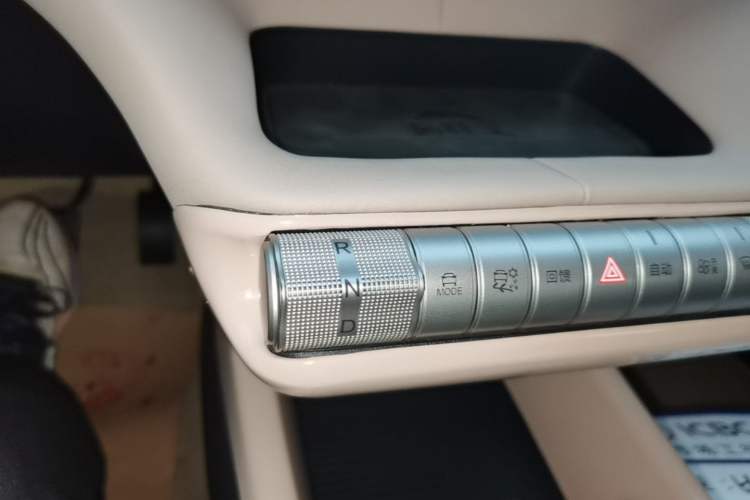 Used BYD Dolphin 2023 420 km Free Version Gear Lever