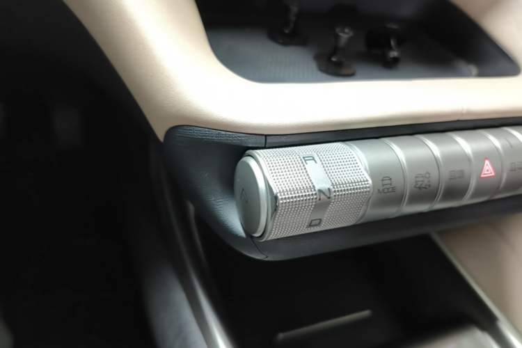 Used BYD Dolphin 2023 420 km Fashion Edition Gear Lever