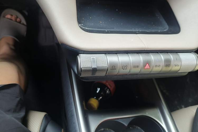Used BYD Dolphin 2023 420 km Fashion Edition Gear Lever
