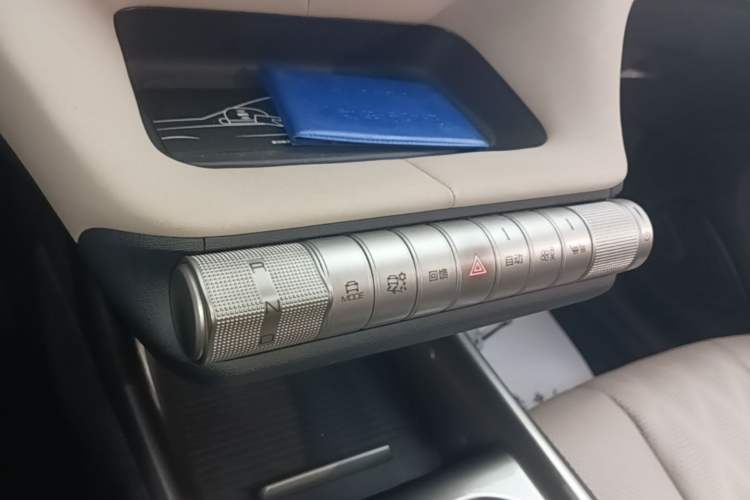 Used BYD Dolphin 2023 420 km Free Version Gear Lever