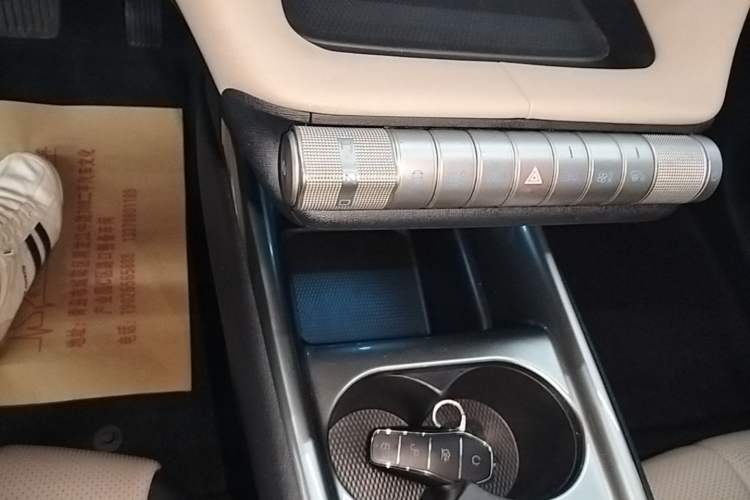 Used BYD Dolphin 2023 420 km Free Version Gear Lever