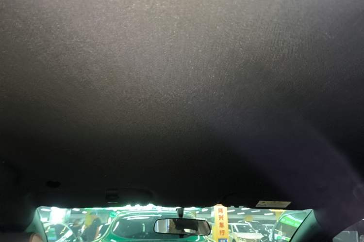 Used BYD Dolphin 2023 420 km Free Version Headliner