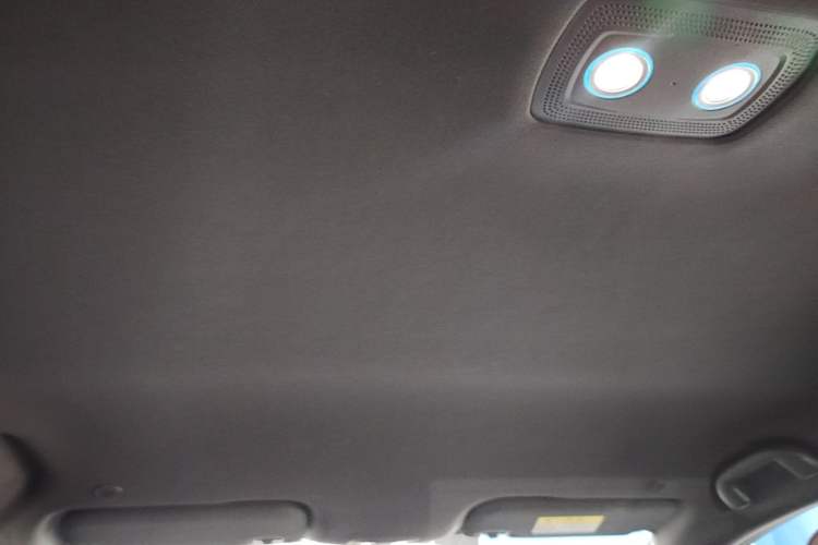 Used BYD Dolphin 2023 420 km Free Version Headliner