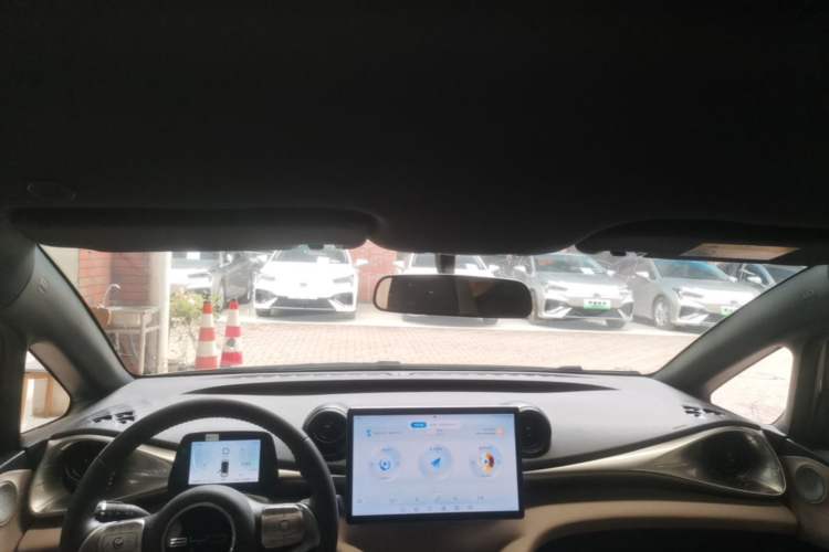 Used BYD Dolphin 2023 420 km Free Version Headliner
