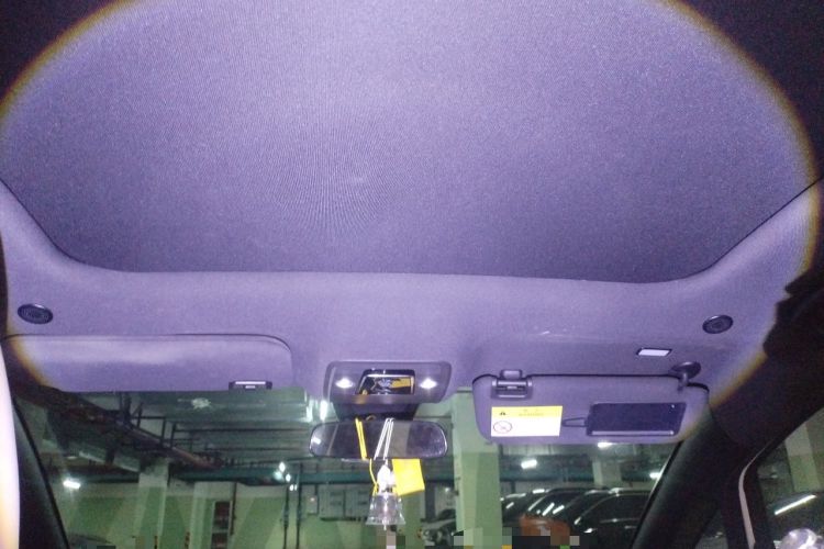 Used BYD Dolphin 2023 420 km Fashion Edition Headliner