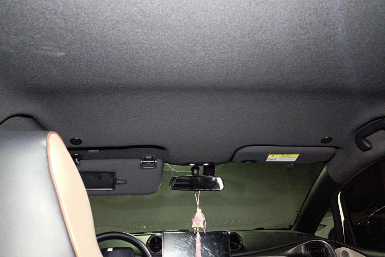 Used BYD Dolphin 2023 420 km Free Version Headliner