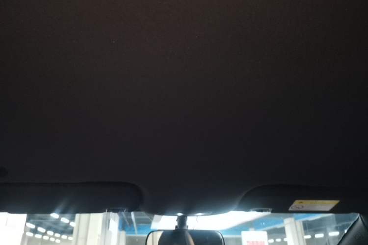 Used BYD Dolphin 2023 420 km Free Version Headliner