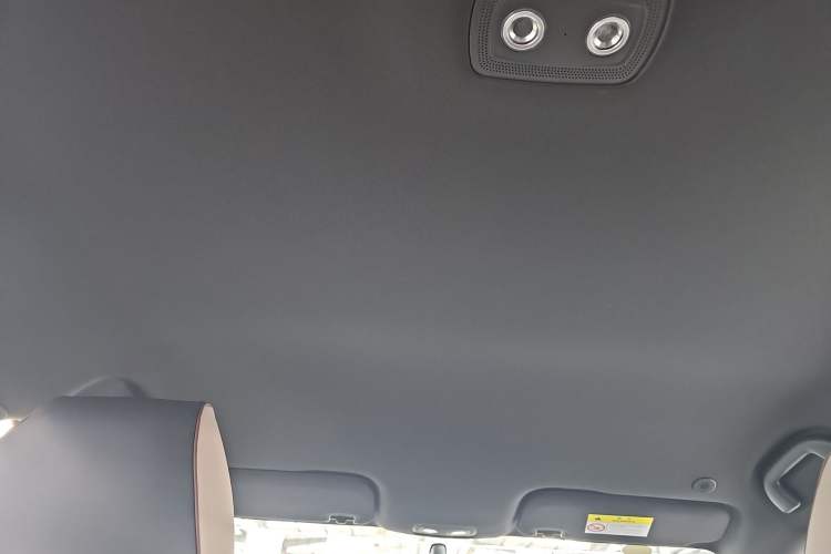 Used BYD Dolphin 2023 420 km Free Version Headliner