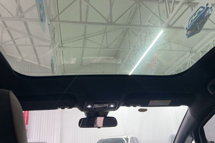 Used BYD Dolphin 2023 420 km Fashion Edition Headliner