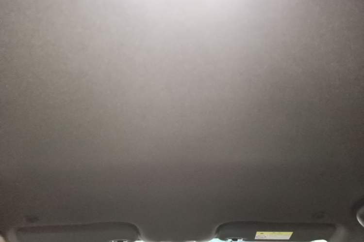 Used BYD Dolphin 2023 420 km Free Version Headliner