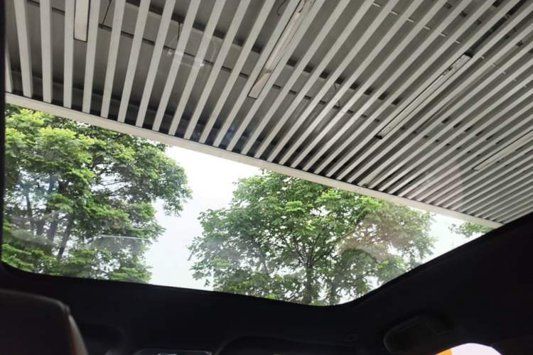 Used BYD Dolphin 2023 420 km Fashion Edition Headliner