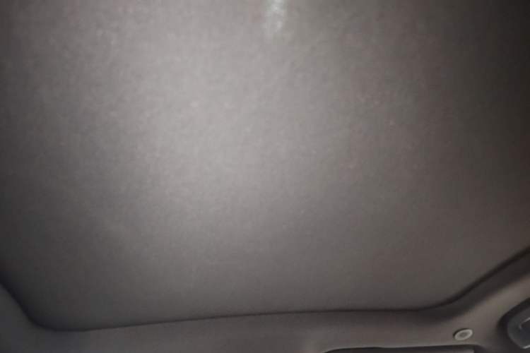 Used BYD Dolphin 2023 420 km Fashion Edition Headliner