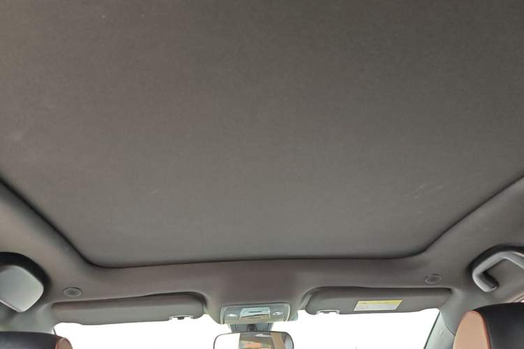Used BYD Dolphin 2023 420 km Fashion Edition Headliner