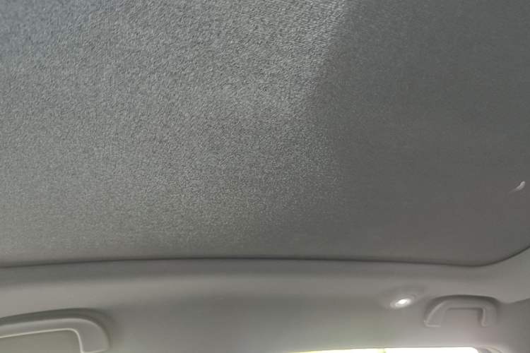 Used BYD Dolphin 2023 420 km Fashion Edition Headliner