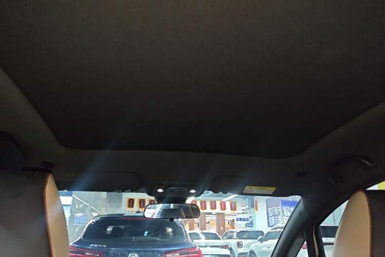 Used BYD Dolphin 2023 420 km Fashion Edition Headliner