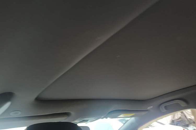 Used BYD Dolphin 2023 420 km Fashion Edition Headliner