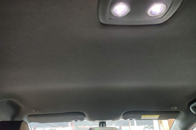Used BYD Dolphin 2023 420 km Free Version Headliner