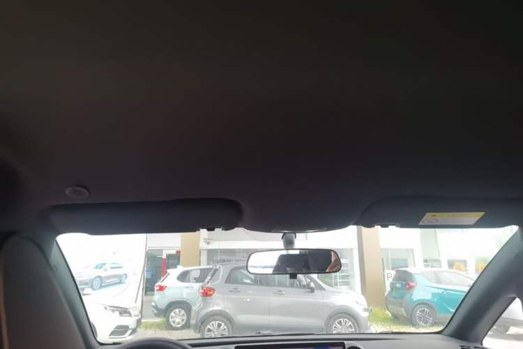 Used BYD Dolphin 2023 420 km Free Version Headliner