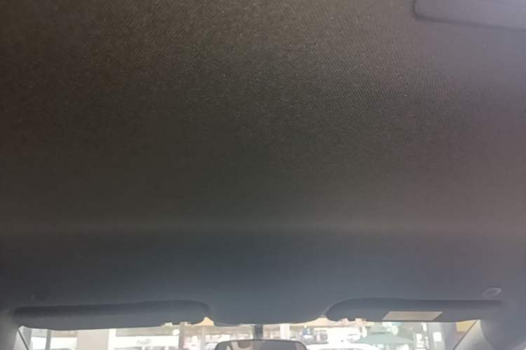 Used BYD Dolphin 2023 420 km Free Version Headliner
