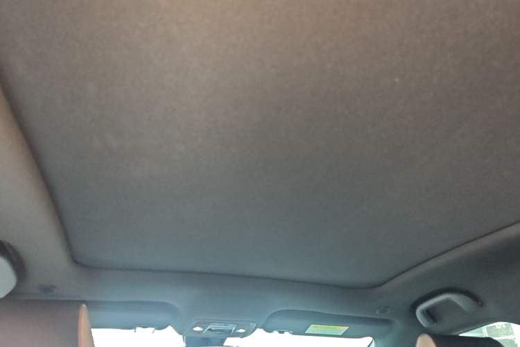 Used BYD Dolphin 2023 420 km Fashion Edition Headliner