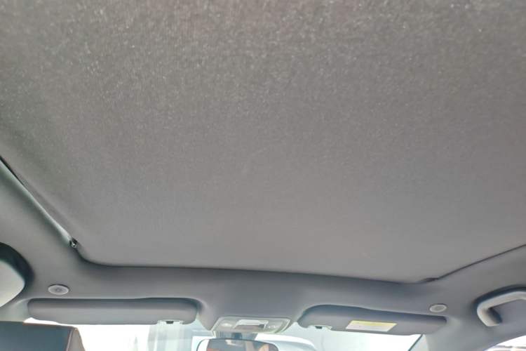 Used BYD Dolphin 2023 420 km Fashion Edition Headliner