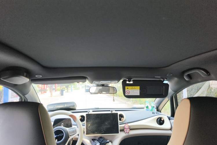 Used BYD Dolphin 2023 420 km Fashion Edition Headliner