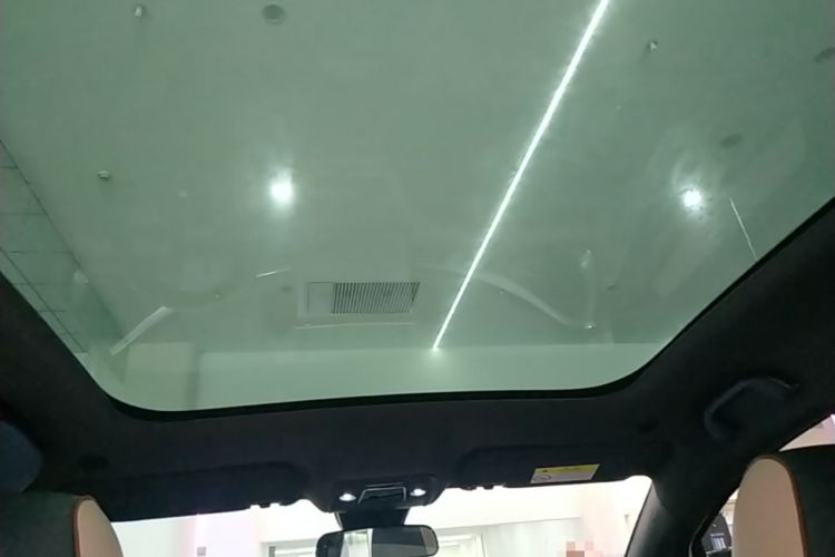 Used BYD Dolphin 2023 420 km Fashion Edition Headliner