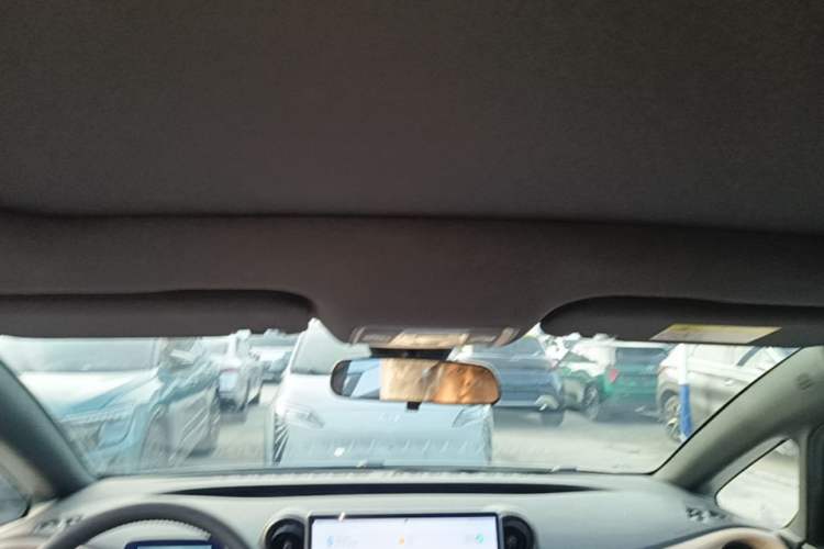 Used BYD Dolphin 2023 420 km Fashion Edition Headliner
