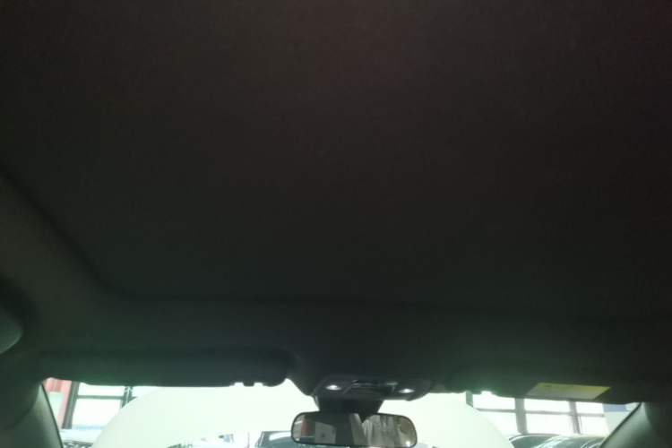 Used BYD Dolphin 2023 420 km Fashion Edition Headliner