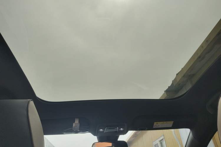 Used BYD Dolphin 2023 420 km Fashion Edition Headliner