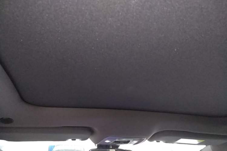 Used BYD Dolphin 2023 420 km Free Version Headliner