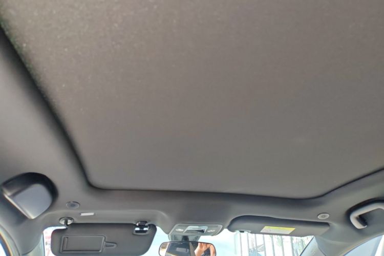 Used BYD Dolphin 2023 420 km Fashion Edition Headliner