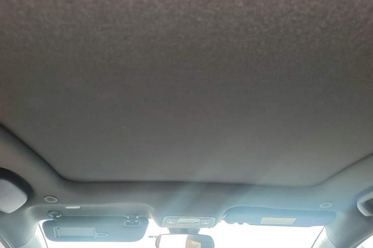 Used BYD Dolphin 2023 420 km Fashion Edition Headliner