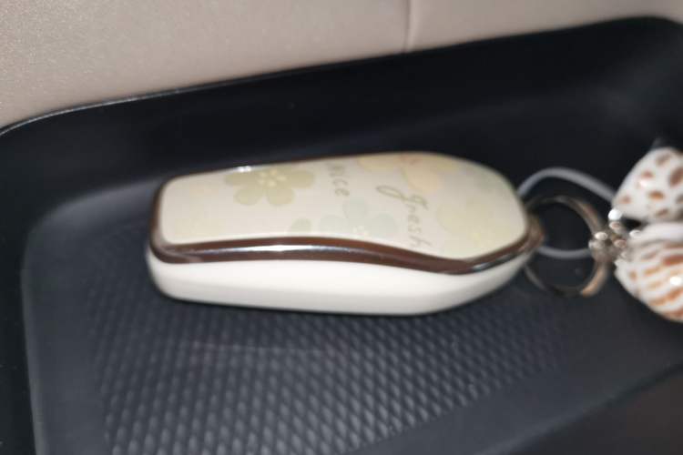 Used BYD Dolphin 2023 420 km Free Version Interior 1