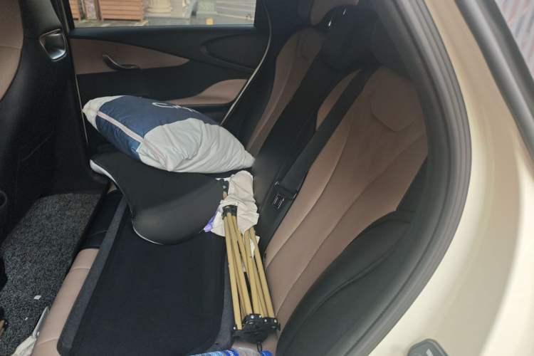 Used BYD Dolphin 2023 420 km Free Version Interior 4