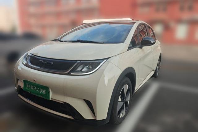 Used BYD Dolphin 2023 420 km Free Version