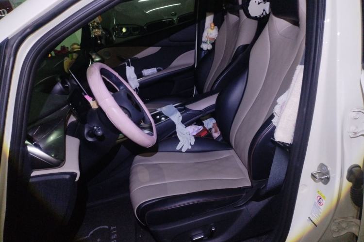Used BYD Dolphin 2023 420 km Fashion Edition Left Front Seat