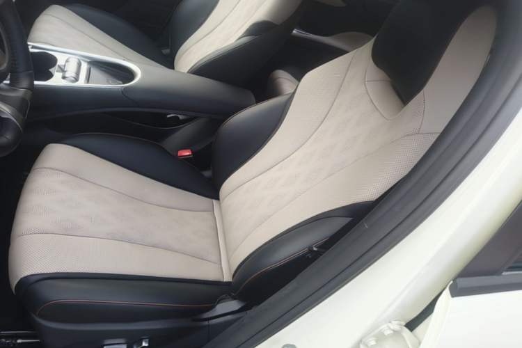 Used BYD Dolphin 2023 420 km Fashion Edition Left Front Seat