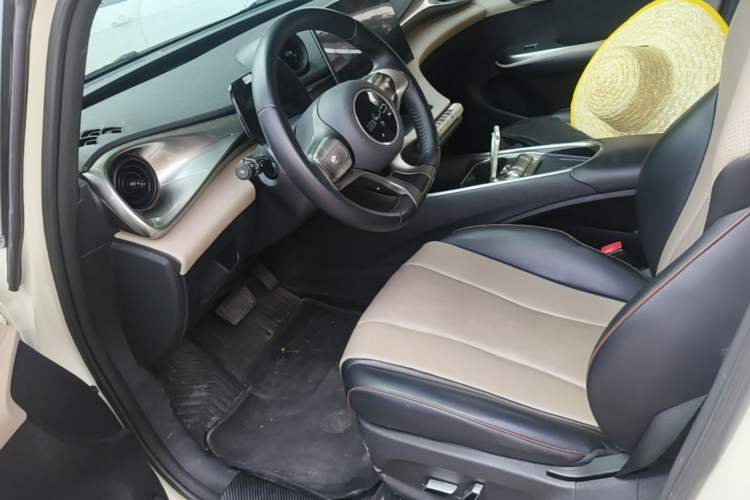 Used BYD Dolphin 2023 420 km Fashion Edition Left Front Seat