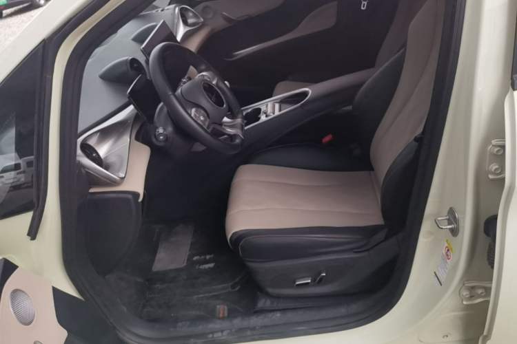 Used BYD Dolphin 2023 420 km Free Version Left Front Seat