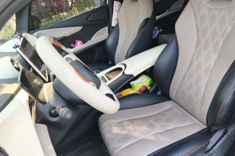 Used BYD Dolphin 2023 420 km Fashion Edition Left Front Seat